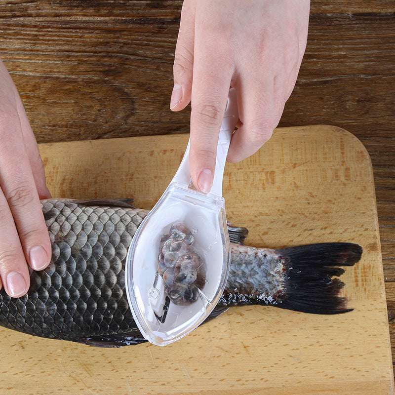 Fish Skin Brush Scraping Fish Scale Brush Grater Quick Disassembly Fish Knife Cleaning Peeling Skin Scraper Scraper Fish Scaler Kitchen Tools - Aiorax Store